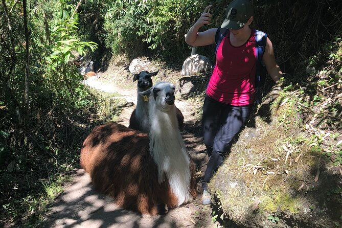 5-day-salkantay-trek-to-machu-picchu