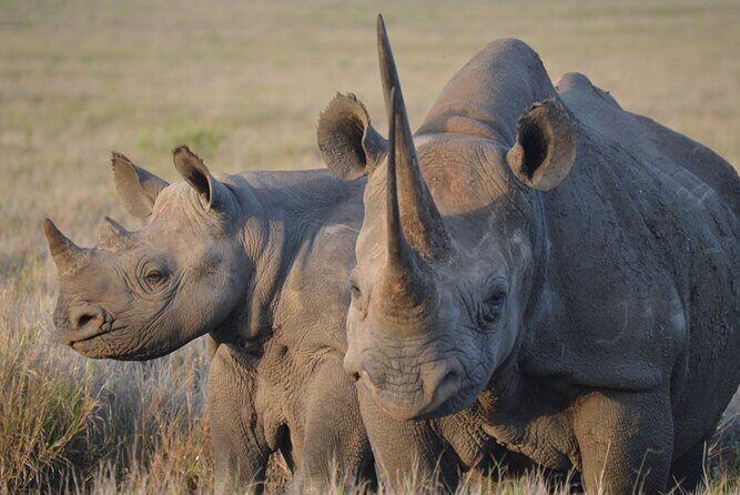 5 Day: Scenic Northern Circuit Safari - Exploring the Itinerary in Detail