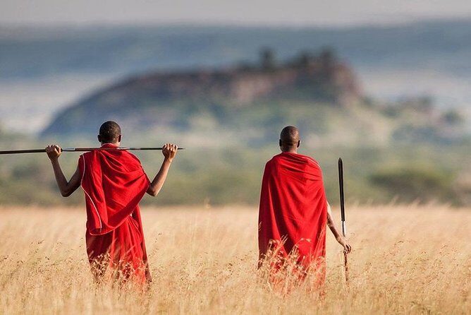 5 Day Serengeti Luxury Safari - Practical Details That Matter