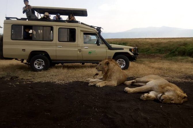 5 Day Silver Serengeti & Ngorongoro Crater & Tarangire Safari - The Expertise of Guides and the Authenticity of Experiences