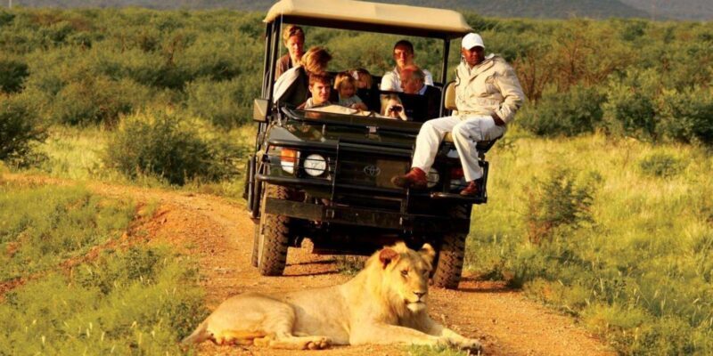 5 Day Small Group Garden Route Tour From Cape Town - The Itinerary in Detail