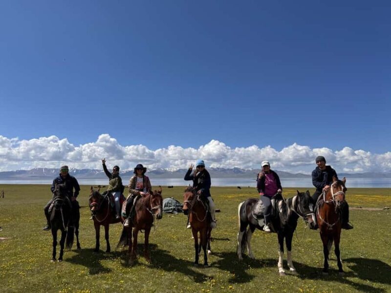 5-Day Son-Kul, Naryn and Kel-Suu Lake Tour - Who Is This Tour Best For?