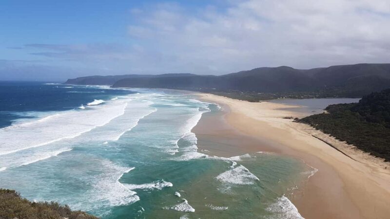5-Day South Africa Tour: Cape Town, Safari, and Garden Route - Transportation, Group Size, and Practical Details