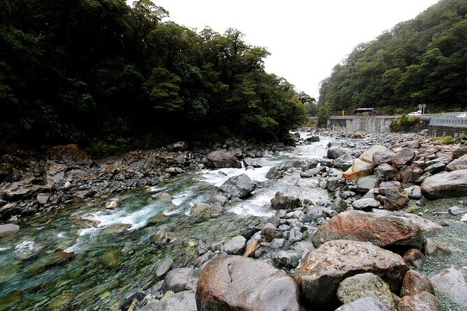 5 Day South Island Tour from Queenstown including Stewart Island - Final Thoughts