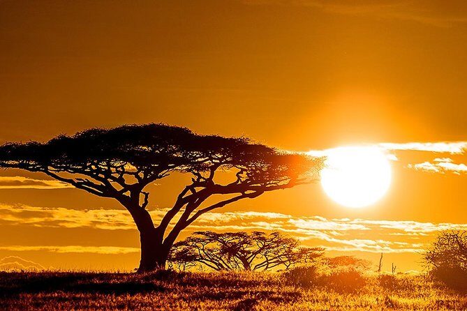 5 Day: Spectacular View of Ngorongoro Crater - FAQs