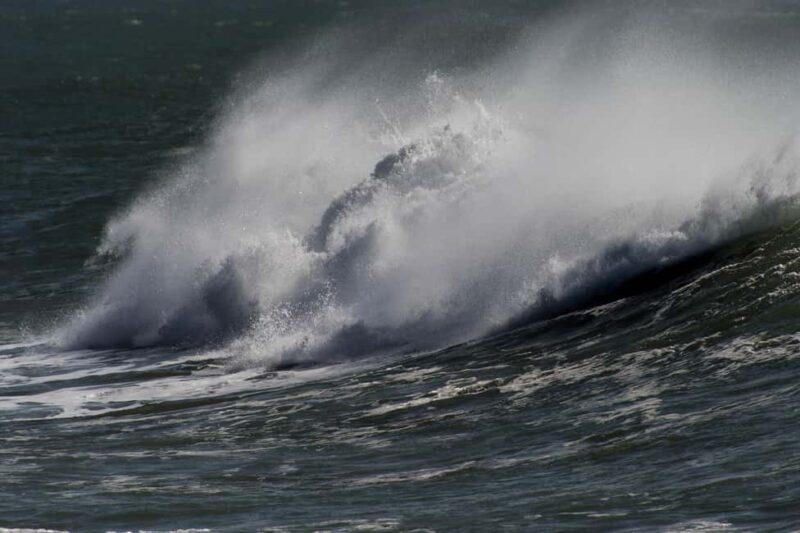 5-Day Surf Camp with Lessons and Excursions - Key Points