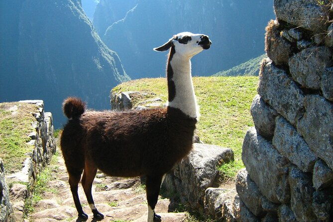 5-day-tour-in-laguna-humantay-mountain-of-colors-machu-picchu