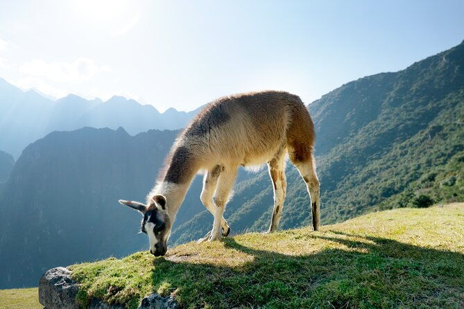 5-day-tour-salkantay-trek-to-machu-picchu