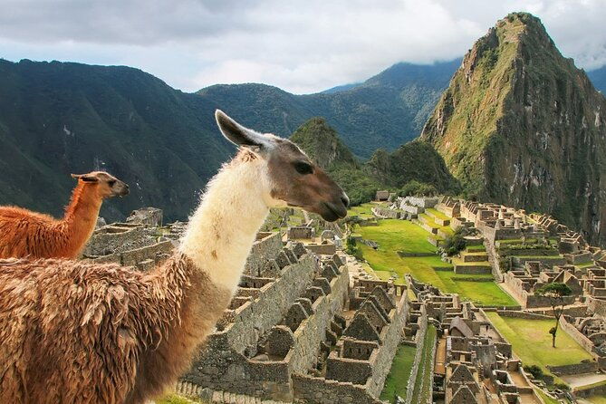 5-day-tour-to-sacred-valley-machu-picchu-maras-and-moray