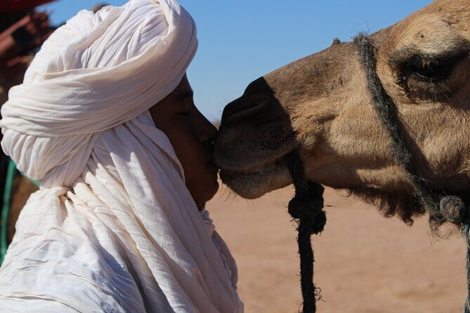 5-day trek - In the Draa Valley - Introduction to the Draa Valley Trek