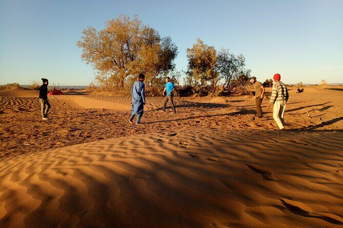 5-day trek - In the Draa Valley - The Itinerary Breakdown: What to Expect