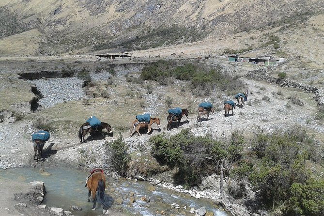 5-day-trekking-salkantay-snow-peak-route-to-machu-picchu-from-cusco