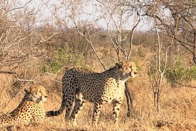 5 Day Ultimate Kruger National Park Budget Accommodation - FAQ