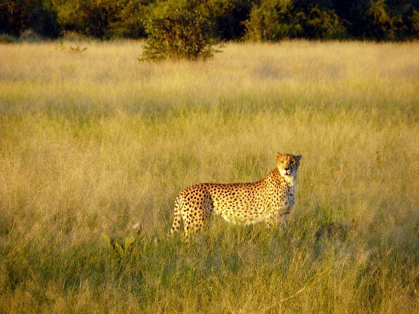 5 Day Victoria Falls and Chobe National Park Camping Tour - Transportation and Group Size