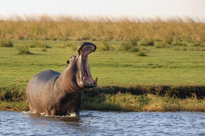 5 Day Victoria Falls and Chobe National Park Luxury Accommodated Tour - The Journey to Chobe National Park