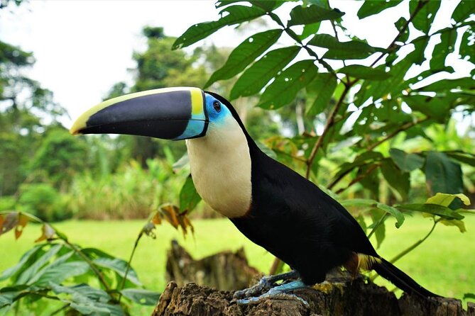 5-day-waorani-yasuni-kayak-expedition