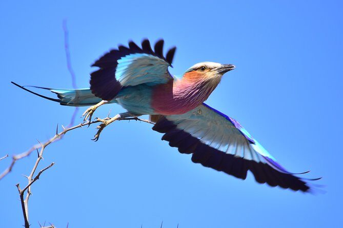 5 Day Wildlife Photographic Safari - Kruger National Park - B1 Photo Safaris - Final Thoughts