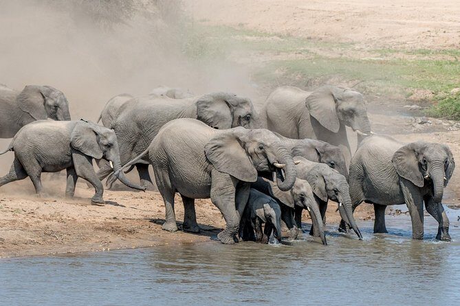 5 Day Wildlife Photographic Safari - Kruger National Park - B1 Photo Safaris - FAQ