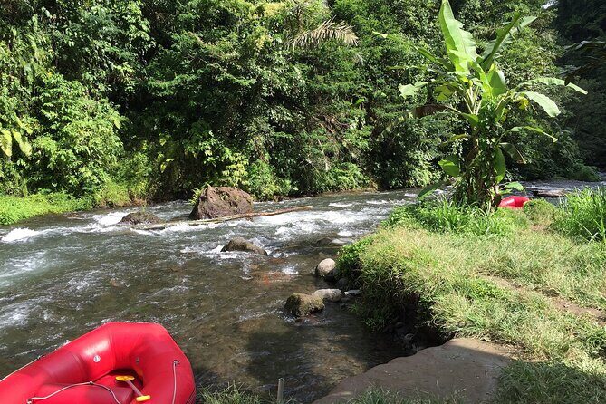 5 Day Wildlife Safari Tour in Sri Lanka - Day 1: Sinharaja Forest Reserve — The Forest of Wonders
