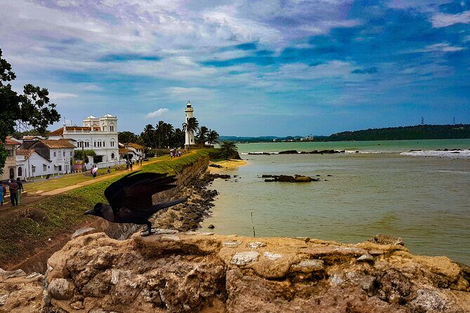 5 Day Wildlife Safari Tour in Sri Lanka - Day 4: Udawalawe National Park — Elephant Encounters