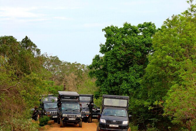 5 Day Wildlife Safari Tour in Sri Lanka - What’s Included and What’s Not