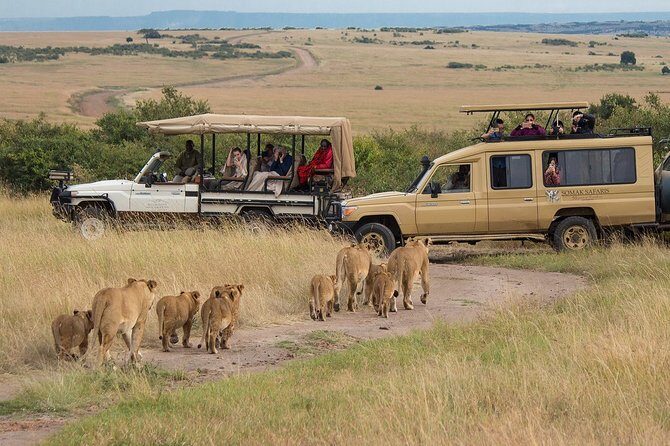 5 Days/4 Nights Kenya Safari - Practical Details and Considerations