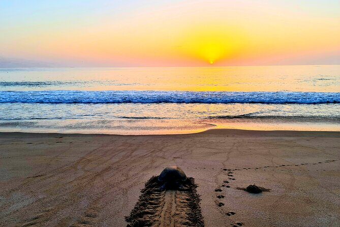 5 Days 4 Nights Oman Package Tour Mohammed - Final Thoughts