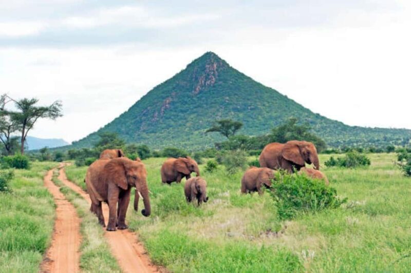 5-Days 4 Nights Safari to Samburu & Ol pejeta Conservancy - Final Thoughts