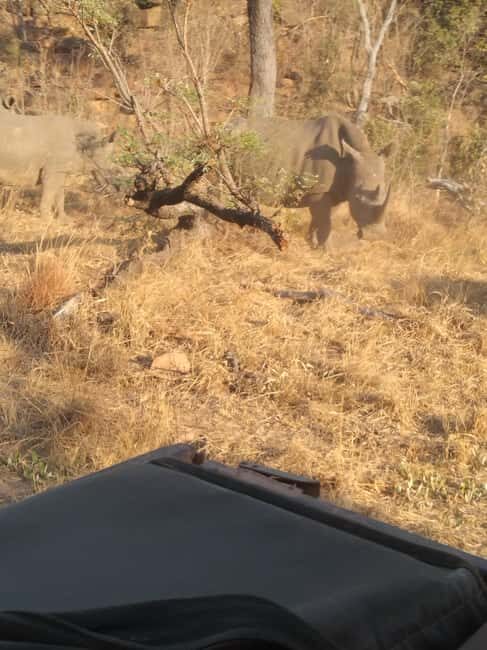 5 Days 4 Nights Safari Tour In Madikwe And Pilanersbeg - Value and Practicality