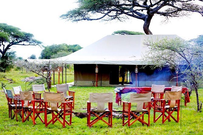 5 Days 4 Nights Tarangire, Serengeti , Ngorongoro & Manyara Wildlife Safari - Day-by-Day Breakdown of the Experience