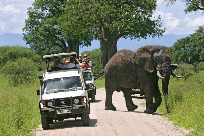 5 Days 4 Nights Tarangire, Serengeti , Ngorongoro & Manyara Wildlife Safari - Authentic Insights from Reviewers