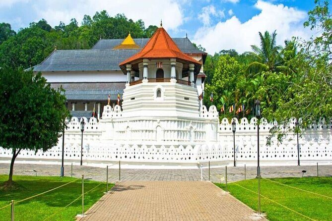 5 Days and 4 Nights Private Tour in Kandy Bentota and Colombo - Who Will Love This Tour?