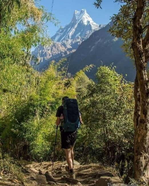5 Days Annapurna Base Camp Trek - The Complete Experience Breakdown