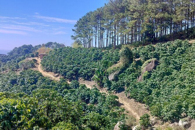 5 Days Authentic Dalat Coffee Farm & Hiking Experience - An In-Depth Look at the 5-Day Dalat Coffee and Adventure Tour