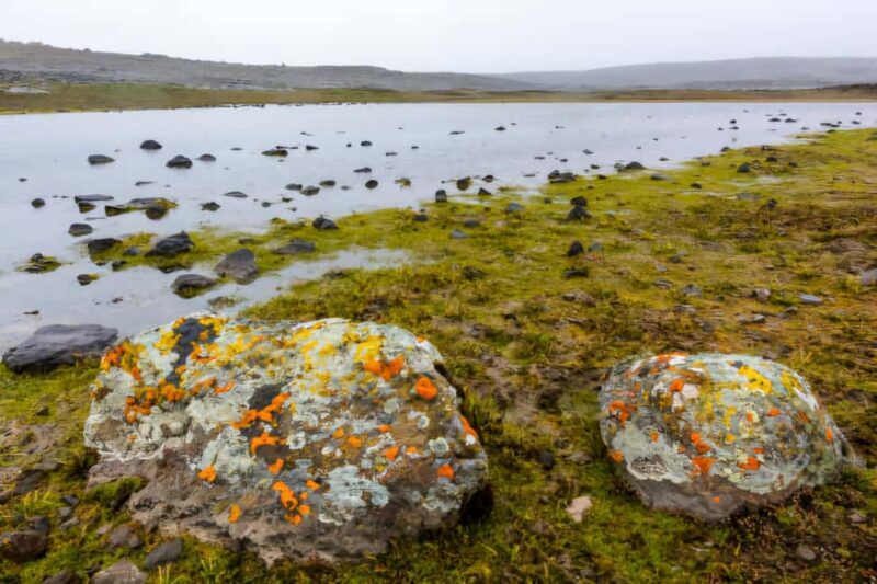 5 Days Bale National Park and Mountains Tour - Best Time to Visit and Practical Considerations