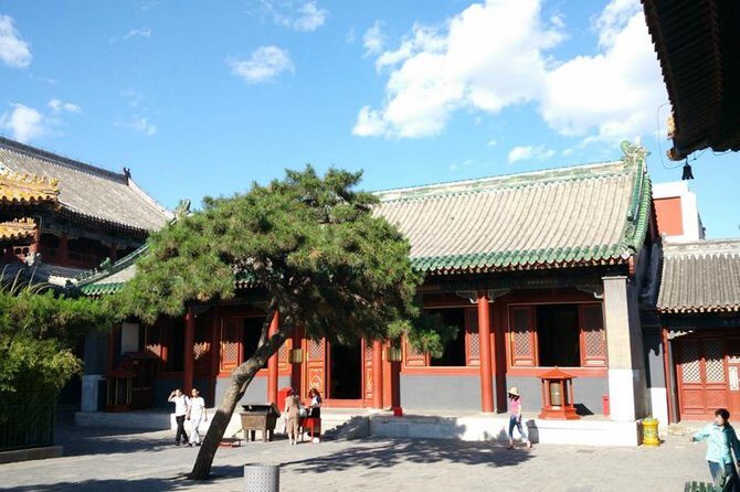 5 Days Beijing Private Non- shopping Tour - Who Should Book This Tour?