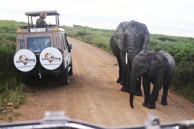 5 Days Best of Tanzania Luxury Safari Northern Circuit - FAQ