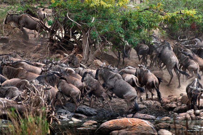 5 Days - Best Of Tanzania Northern Zone, Lodge Safari - FAQs