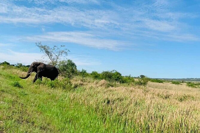 5 days best wildlife experience in Uganda - Guides and Expert Insight