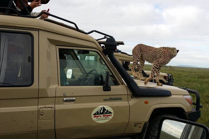 5 Days Camping Tarangire, Serengeti & Ngorongoro crater & Visiting Maasai - Following the Wildebeest Migration  