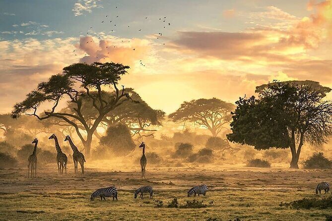 5 Days Camping Tarangire, Serengeti & Ngorongoro crater & Visiting Maasai - What Makes This Safari Stand Out?  