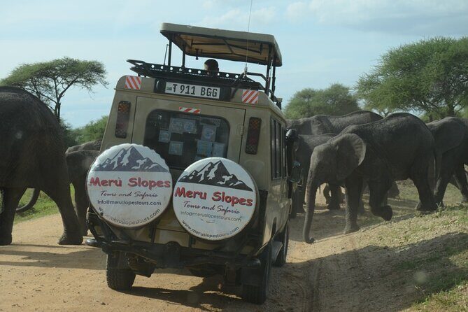 5 Days Camping Tarangire, Serengeti & Ngorongoro crater & Visiting Maasai - Practical Details  