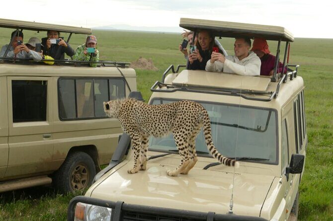5 Days Camping Tarangire, Serengeti & Ngorongoro crater & Visiting Maasai - Who Would Love This Safari?  