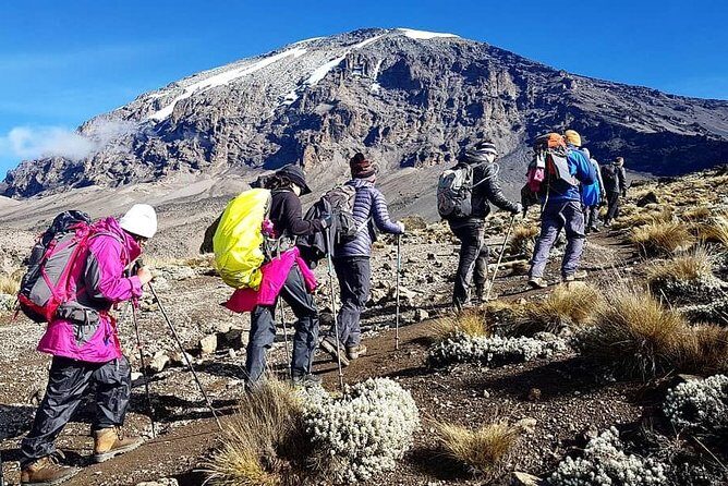 5 Days cheapest Kilimanjaro Marangu Route - Key Points