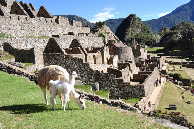 5-days-city-tour-machupicchu-rainbow-mountain-humantay-private-service