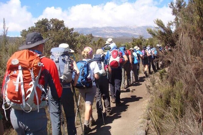 5 Days Classic Kilimanjaro Climb via Marangu route - Who Is This Tour Best For?