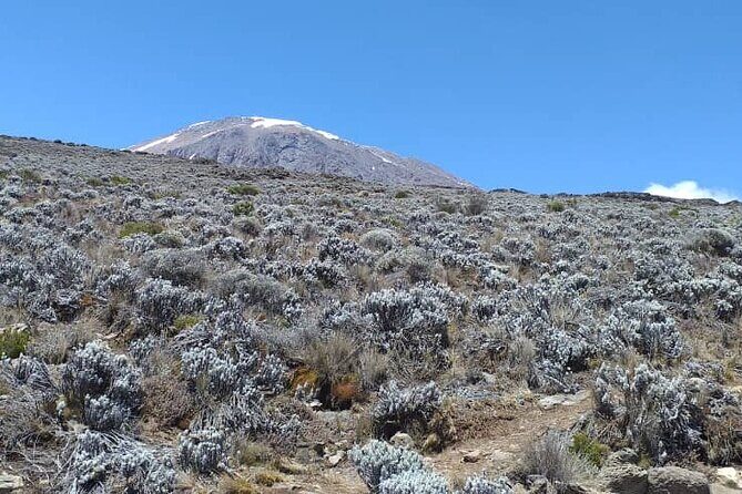 5 Days Climbing Mount Kilimanjaro Marangu Route - The Sum Up
