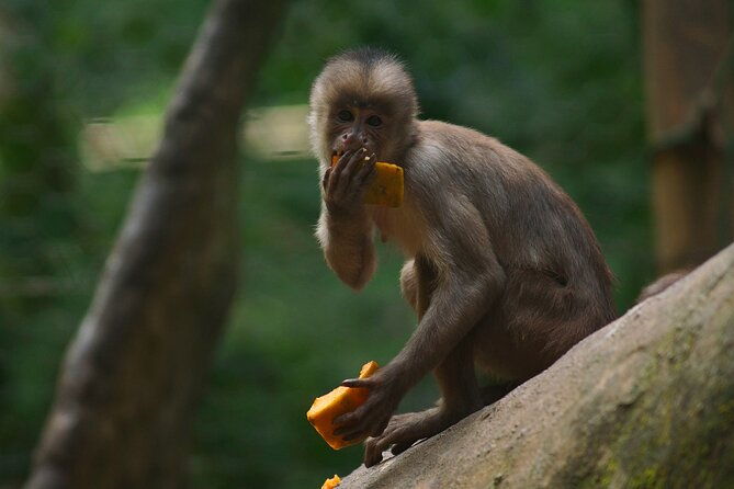 5-days-cuyabeno-wildlife-reserve-adventure