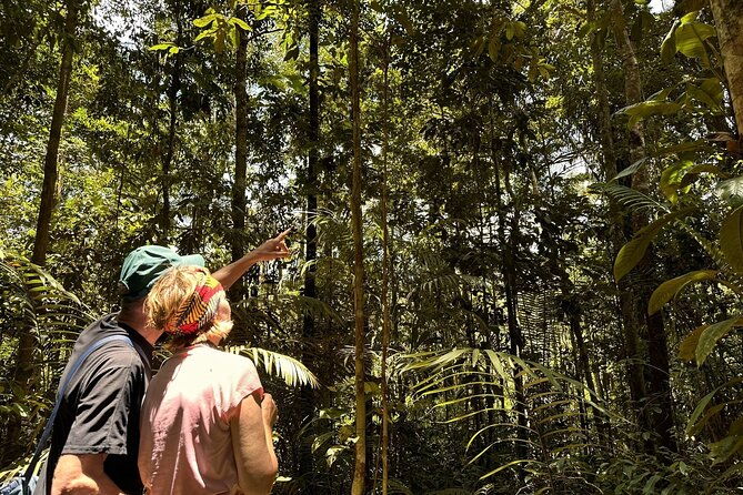 5-days-embark-on-an-epic-amazonian-adventure-from-quito-ecuador