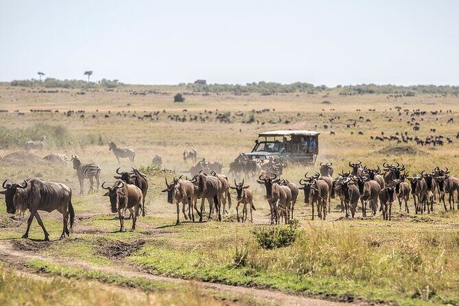 5 Days Exclusive Camping Adventure in Northern Tanzania - Pricing and Value